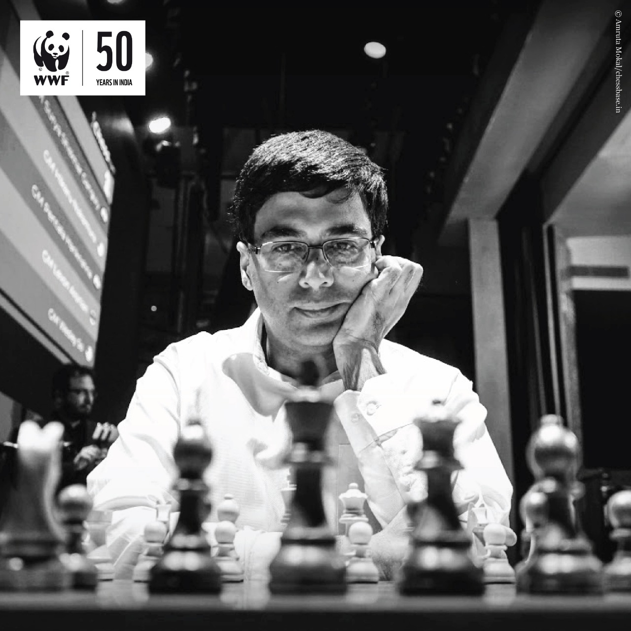 Viswanathan Anand player profile - ChessBase Players