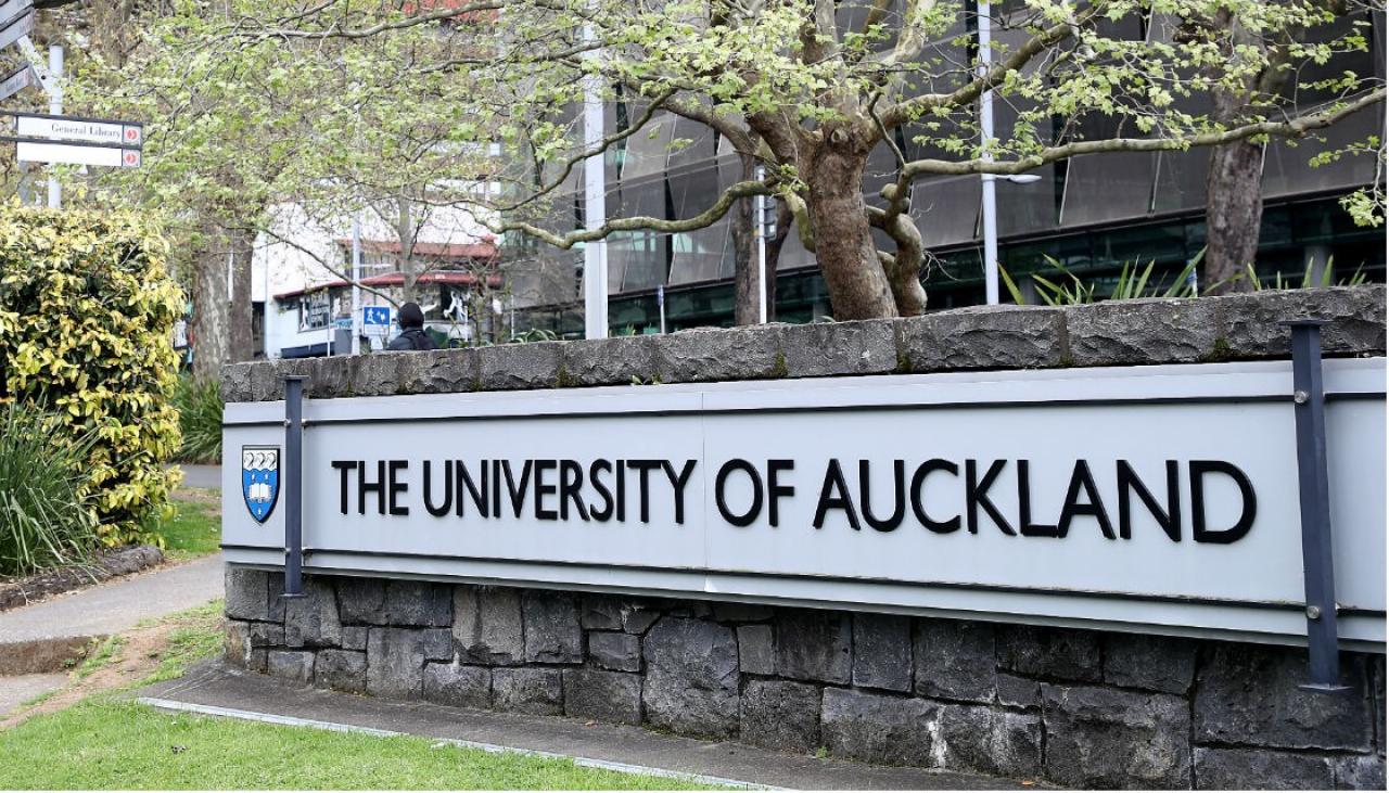 university of auckland phd public health