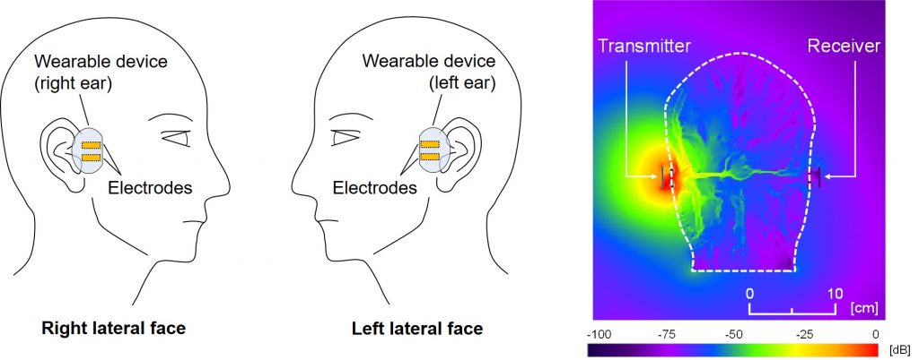 All in Your Head: Exploring Human-Body Communications with Binaural Hearing Aids - India Education Diary