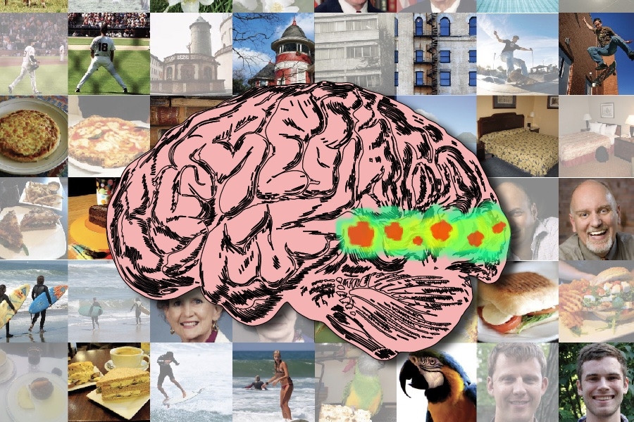Researchers Map Brain Pathways of Visual Memorability – India Education ...