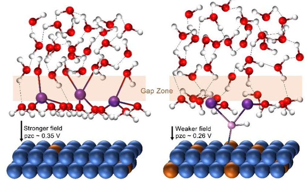 Innovative Approach to Enhancing Hydrogen Oxidation Reaction in Ni-W Alloys for Fuel Cells